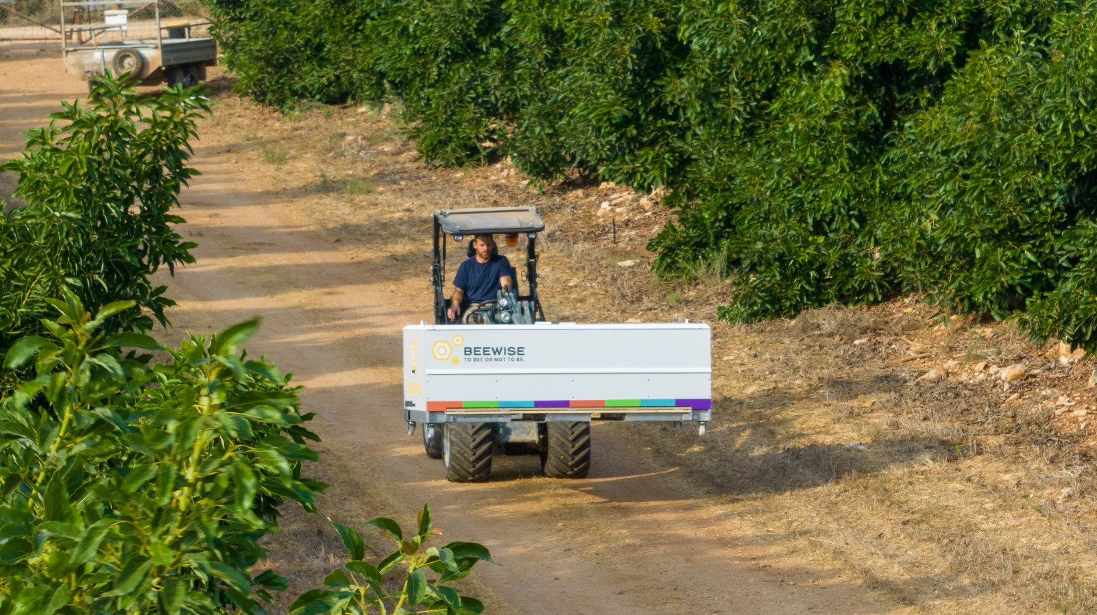 מיני כוורת BEEWISE